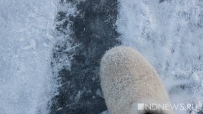 Ямалец почти сутки шёл пешком по тундре за помощью - newdaynews.ru - район Ямальский