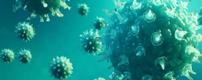 В Ставропольском крае обнаружены еще 48 заразившихся коронавирусом - runews24.ru - Ставрополье край - Железноводск
