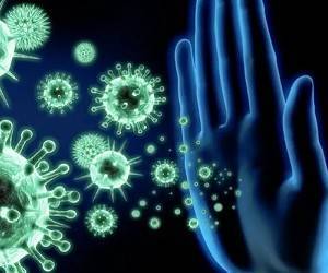 Ученые выяснили, что иммунитет к коронавирусу может сохраняться годами и противостоять новым штаммам - goodnews.ua - New York