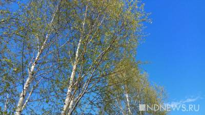 Сезон аллергии стал дольше на 20 дней из-за глобального потепления - newdaynews.ru - Канада