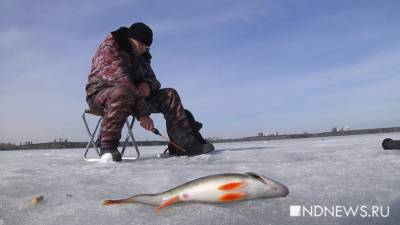 Рыбакам Югры запретили использовать сети - newdaynews.ru - округ Югра