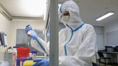 В России выявили минимальное с сентября число новых случаев коронавируса - 5-tv.ru - Россия - Санкт-Петербург - Москва - Московская обл.