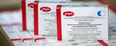 Марсело Эбрард - Мексика заинтересовалась российской вакциной от коронавируса - runews24.ru - Россия - Мексика
