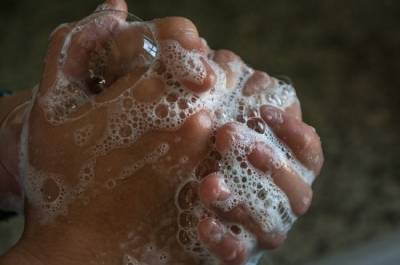 В Роспотребнадзоре рассказали, как правильно мыть руки - pnp.ru