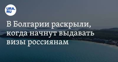 В Болгарии раскрыли, когда начнут выдавать визы россиянам - ura.news - Россия - Москва - Болгария