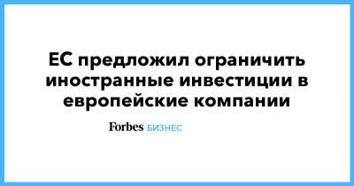 ЕС предложил ограничить иностранные инвестиции в европейские компании - forbes.ru