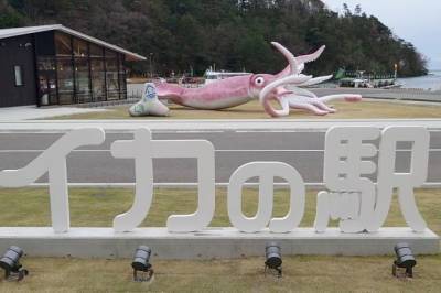 В Японии на деньги, выделенные на борьбу с COVID, построили статую кальмара - aif.ru - Ното