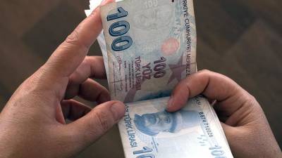 Николай Переславский - Экономист назвал находящиеся под угрозой обвала валюты - iz.ru - Турция - Израиль