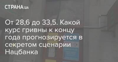 От 28,6 до 33,5. Какой курс гривны к концу года прогнозируется в секретом сценарии Нацбанка - strana.ua
