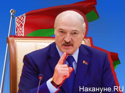 Александр Лукашенко - "Получили в пробирке": Лукашенко заявил о создании белорусской вакцины от коронавируса - nakanune.ru