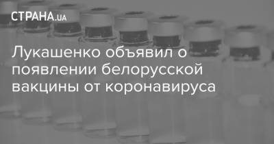 Александр Лукашенко - Лукашенко объявил о появлении белорусской вакцины от коронавируса - strana.ua