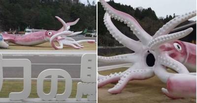 Более 200 тысяч долларов на статую: городок в Японии "слил" деньги из COVID-фонда на гигантского кальмара - tsn.ua - Ното