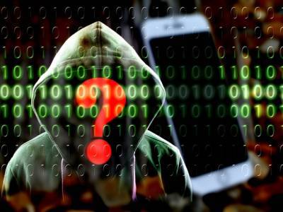 Два россиянина и два прибалта признали вину в киберпреступлениях в США - rosbalt.ru - Эстония - Литва