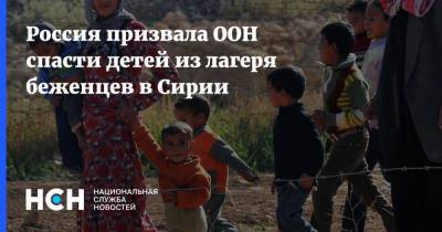 Стефан Дюжаррик - Геннадий Кузьмин - Россия призвала ООН спасти детей из лагеря беженцев в Сирии - nsn.fm - Россия - Сирия