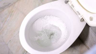 Опасность в общественных туалетах: куда долетают брызги из унитазов - vesty.co.il - Израиль