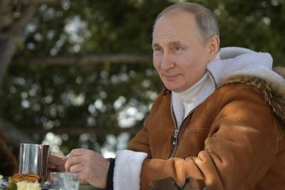 Владимир Путин - Подсчитано число выходных Путина за последний год - lenta.ru - Россия - Президент