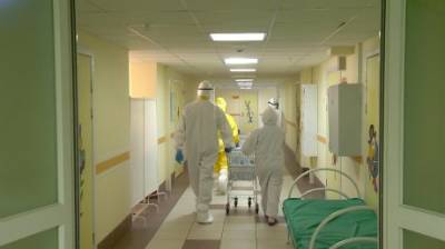 В области зарегистрировали 690 смертей от коронавируса - penzainform.ru - Пензенская обл.
