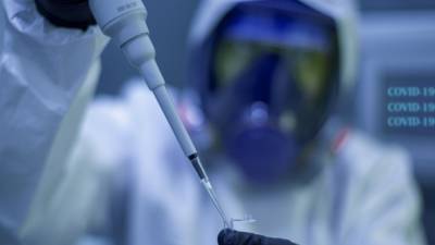 Россия получила индийский штамм коронавируса для исследований - inforeactor.ru - Россия