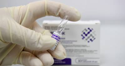 Третья вакцина от COVID-19 «КовиВак» поступила в Москву - moslenta.ru - Москва - Новосибирск