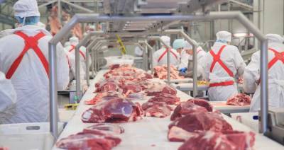Экспорт мяса из России продолжает расти - produkt.by - Россия