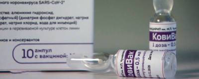 В Новосибирске приступили к вакцинации препаратом «КовиВак» - runews24.ru - Новосибирск - Новосибирская обл.
