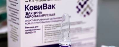 Три тысячи доз вакцины «КовиВак» поступили Москву - runews24.ru - Россия - Москва
