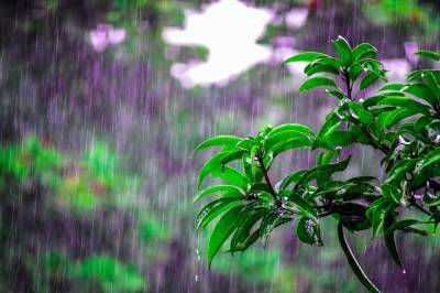 Гроза и дождь: какой будет погода 1 июня в Запорожье - inform.zp.ua - Украина - Запорожье - Бердянск