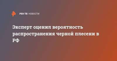 Александр Горелов - Эксперт оценил вероятность распространения черной плесени в РФ - ren.tv - Россия