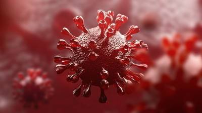 Ученые обнаружили ахиллесову пяту коронавируса (ВИДЕО) и мира - cursorinfo.co.il