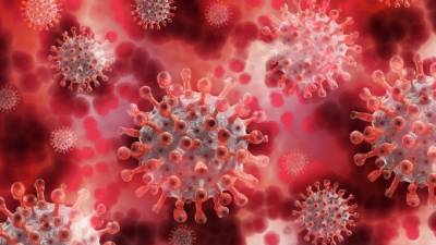 Ученые обнаружили, что коронавирус может привести к серьезным последствиям для иммунной системы - piter.tv - Англия