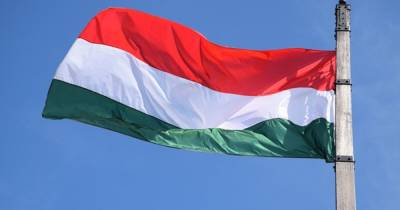 Дмитрий Кулеба - Венгрия официально признала украинские COVID-паспорта - prm.ua - Венгрия