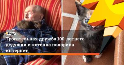 Трогательная дружба 100-летнего дедушки и котенка покорила интернет - ridus.ru