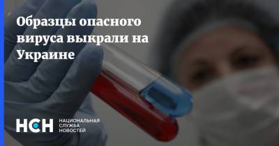 Образцы опасного вируса выкрали на Украине - nsn.fm - Украина