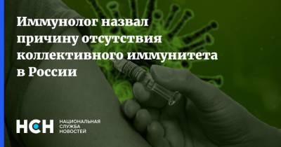 Владимир Болибок - Иммунолог назвал причину отсутствия коллективного иммунитета в России - nsn.fm - Россия