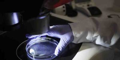 На Украине сотрудница биолаборатории выкрала флаконы со штаммами опасного вируса - news-front.info - Украина