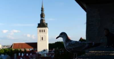 С 1 июля смягчаются требования к однодневным туристическим поездкам в Эстонию - rus.delfi.lv - Эстония - Швеция - Стокгольм - Латвия - Таллин