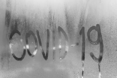 Еще три новгородца скончались от COVID-19 - mk.ru - Новгородская обл.