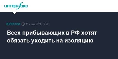 Всех прибывающих в РФ хотят обязать уходить на изоляцию - interfax.ru - Россия - Москва