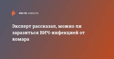 Александр Пронин - Эксперт рассказал, можно ли заразиться ВИЧ-инфекцией от комара - ren.tv - Московская обл.