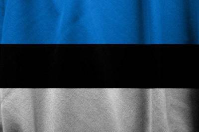 В Baltnews рассказали, как русскоязычное население Эстонии отмечает День России - actualnews.org - Россия - Эстония - Рсфср