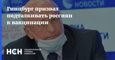 Владимир Путин - Александр Гинцбург - Гинцбург призвал подталкивать россиян к вакцинации - nsn.fm - Россия