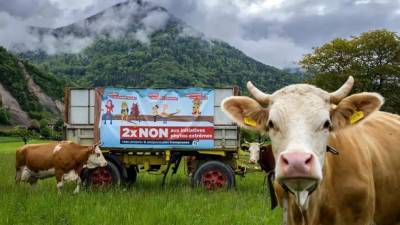 Швейцарцы голосуют на референдуме о запрете пестицидов - unn.com.ua - Киев - Швейцария