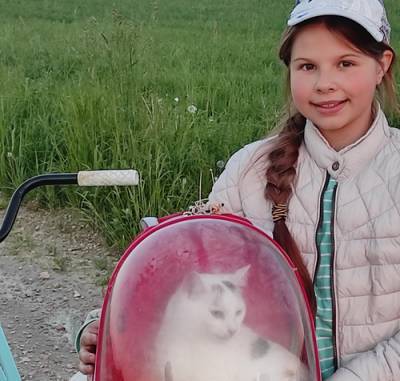 История девочки Даны, которая спасает котов и мечтает обнять весь мир - argumenti.ru - Латвия