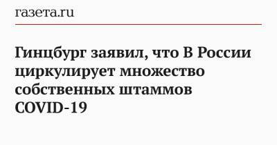 Александр Гинцбург - Гинцбург заявил, что В России циркулирует множество собственных штаммов COVID-19 - gazeta.ru - Россия
