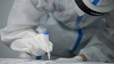 Роберт Кох - Йенс Шпан - В Германии за сутки выявили 549 случаев коронавируса - russian.rt.com