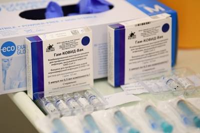 В Турцию прибыла первая партия российской вакцины «Спутник V» - lenta.ru - Турция - Анкара