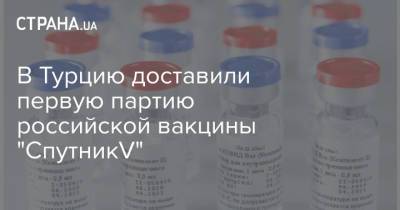 В Турцию доставили первую партию российской вакцины "СпутникV" - strana.ua - Россия - Турция