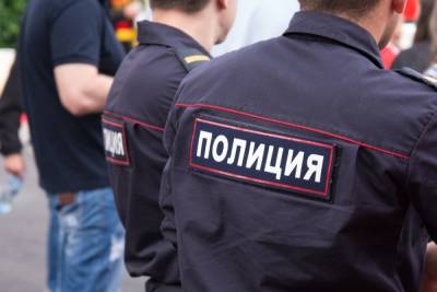 В Тульской области за сутки полиция составила 160 протоколов за нарушение противоковидных мер - tula.mk.ru - Тульская обл.