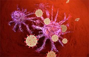 COVID-19 против рака: Когда иммунитет сам убивает опухоль - charter97.org - Англия