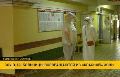В Гомельской области из «красной» зоны вернулись 11 больниц. Осталось 14 - ont.by